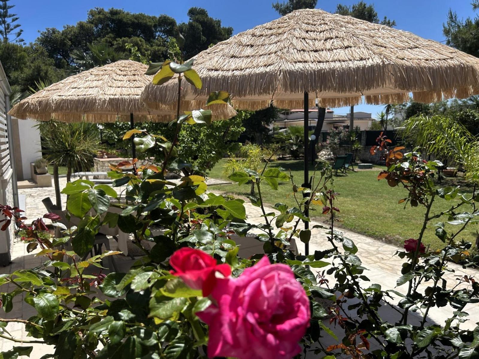 Villa Soleanna Residence ヴィエステ エクステリア 写真